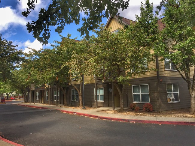 Tree-Lined Streets - Rockwood Landing