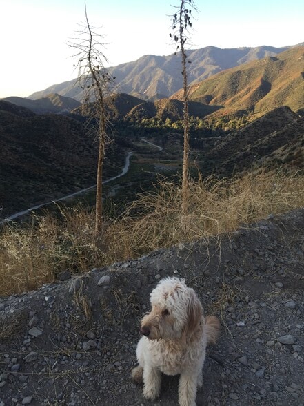 Building Photo - 13992 Irving Ln