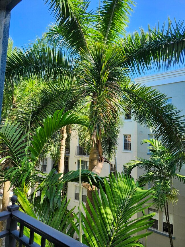 Building Photo - 533 NE 3rd Ave