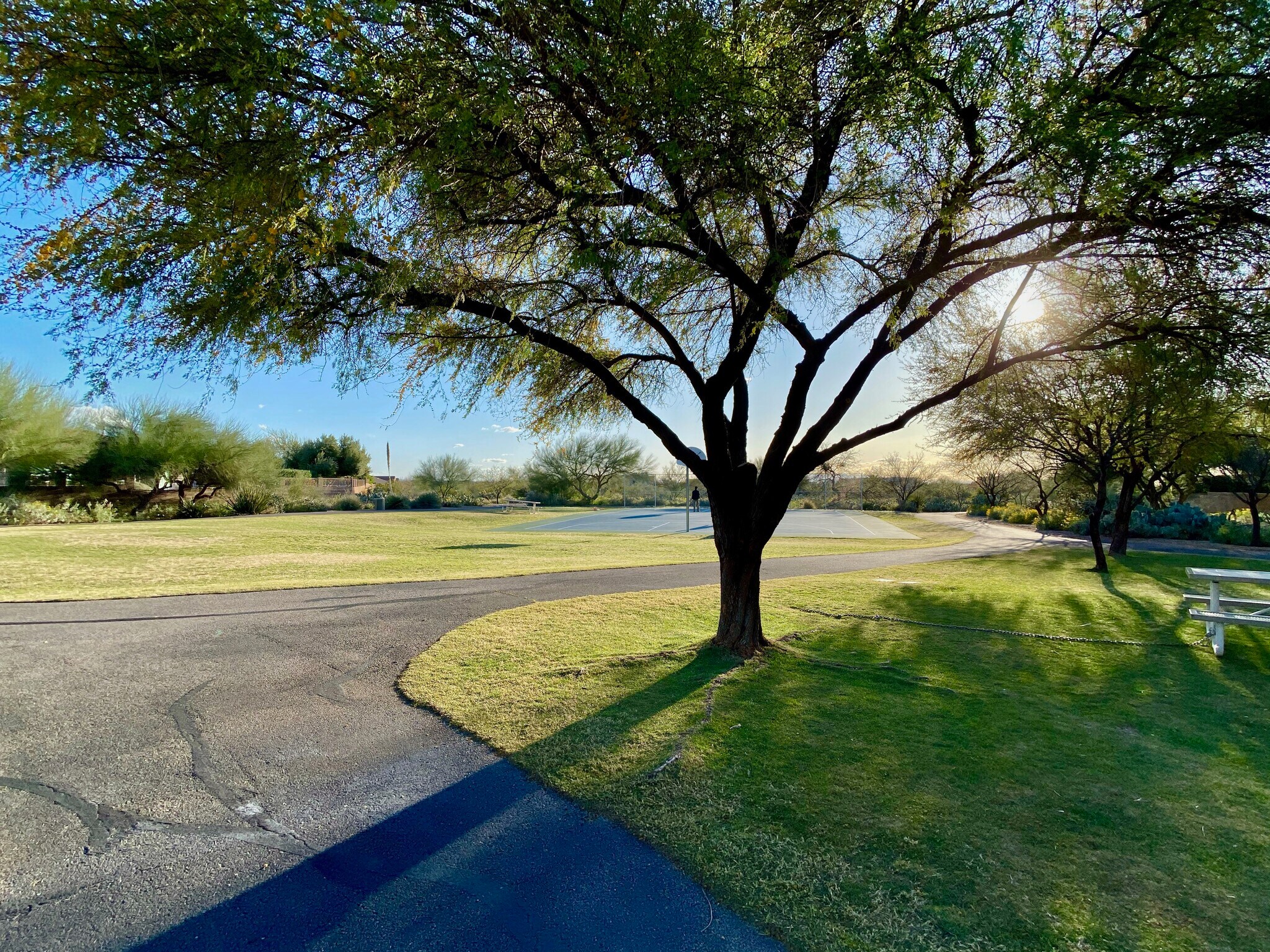 Building Photo - 7304 E Laughing Tree Ln