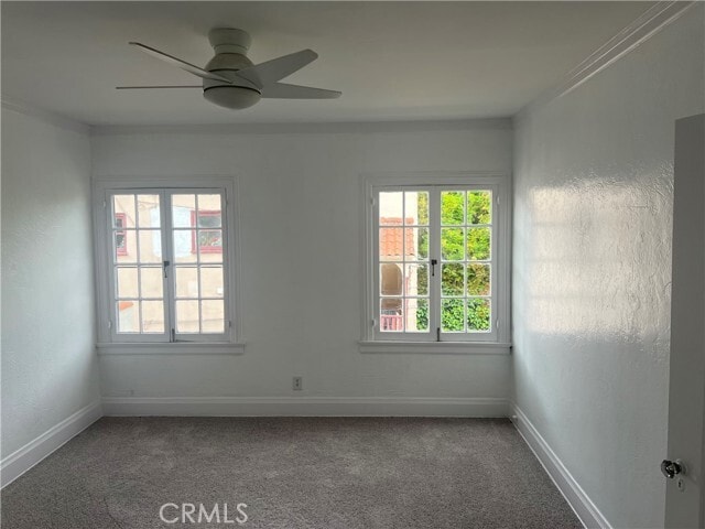 Building Photo - 4429 Victoria Park Dr