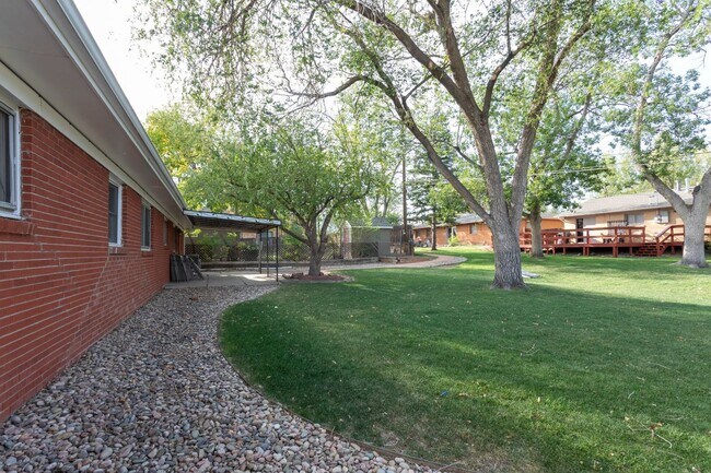 Building Photo - Charming Ranch Style Home in D12!