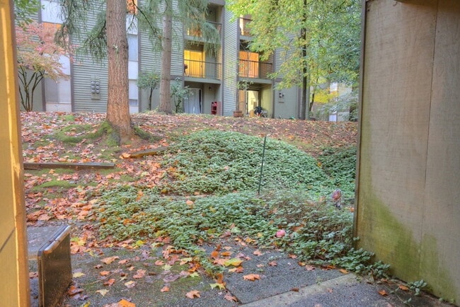 Building Photo - Condo for Rent in Overlake - Bellevue Area!