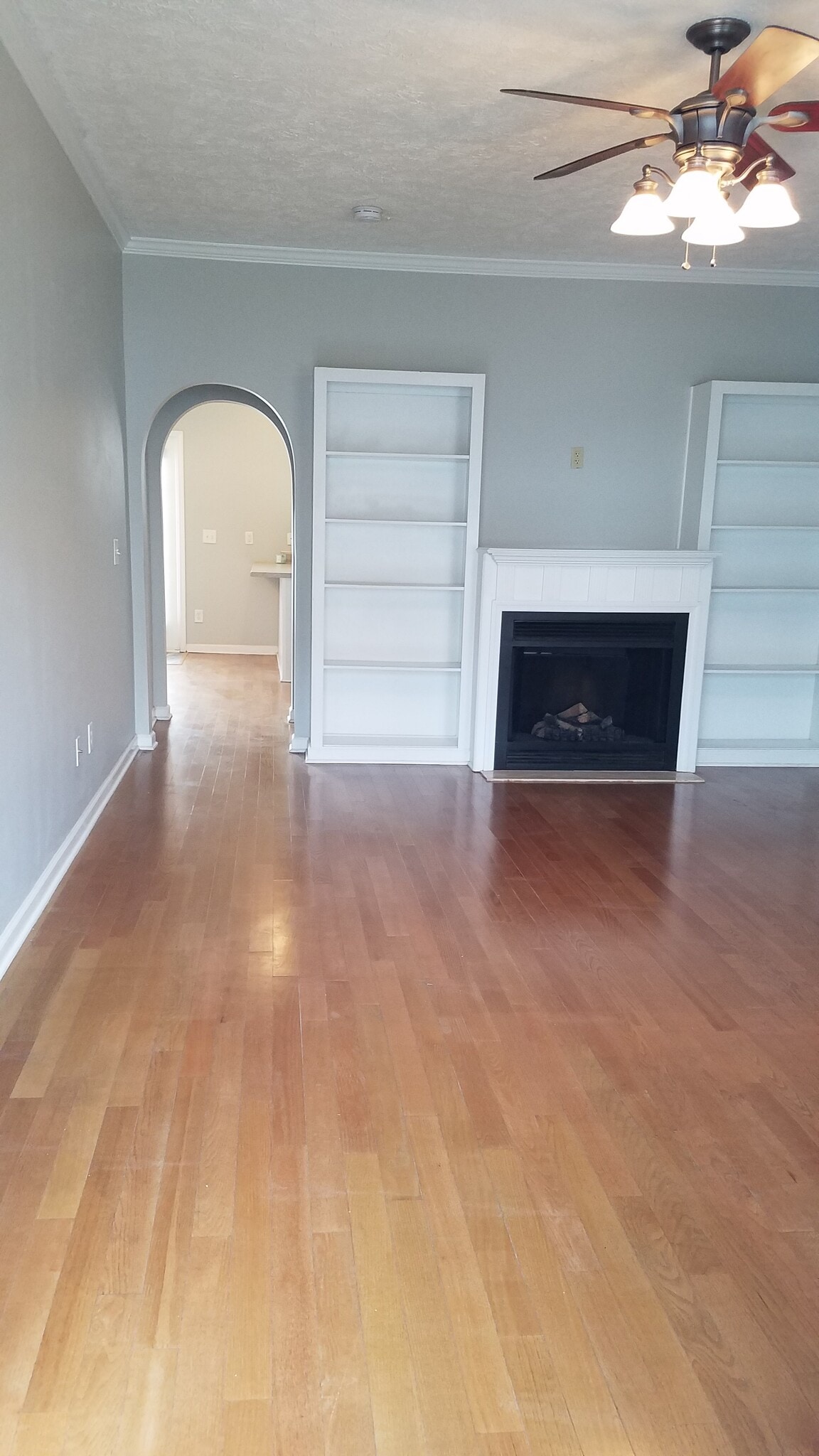 living room - 618 Spence Enclave Way