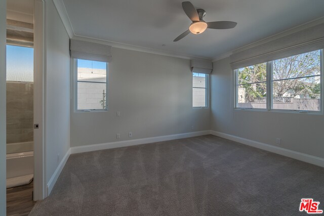 Building Photo - 810 S Catalina Ave