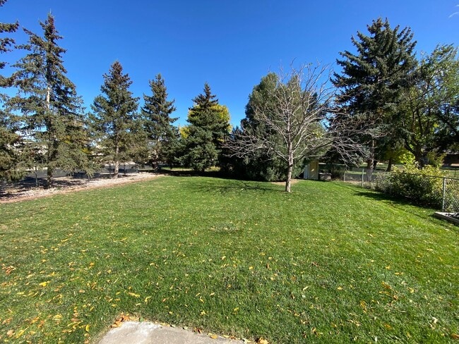 Building Photo - 2 Bed 1 Bath Home in NE Fort Collins!
