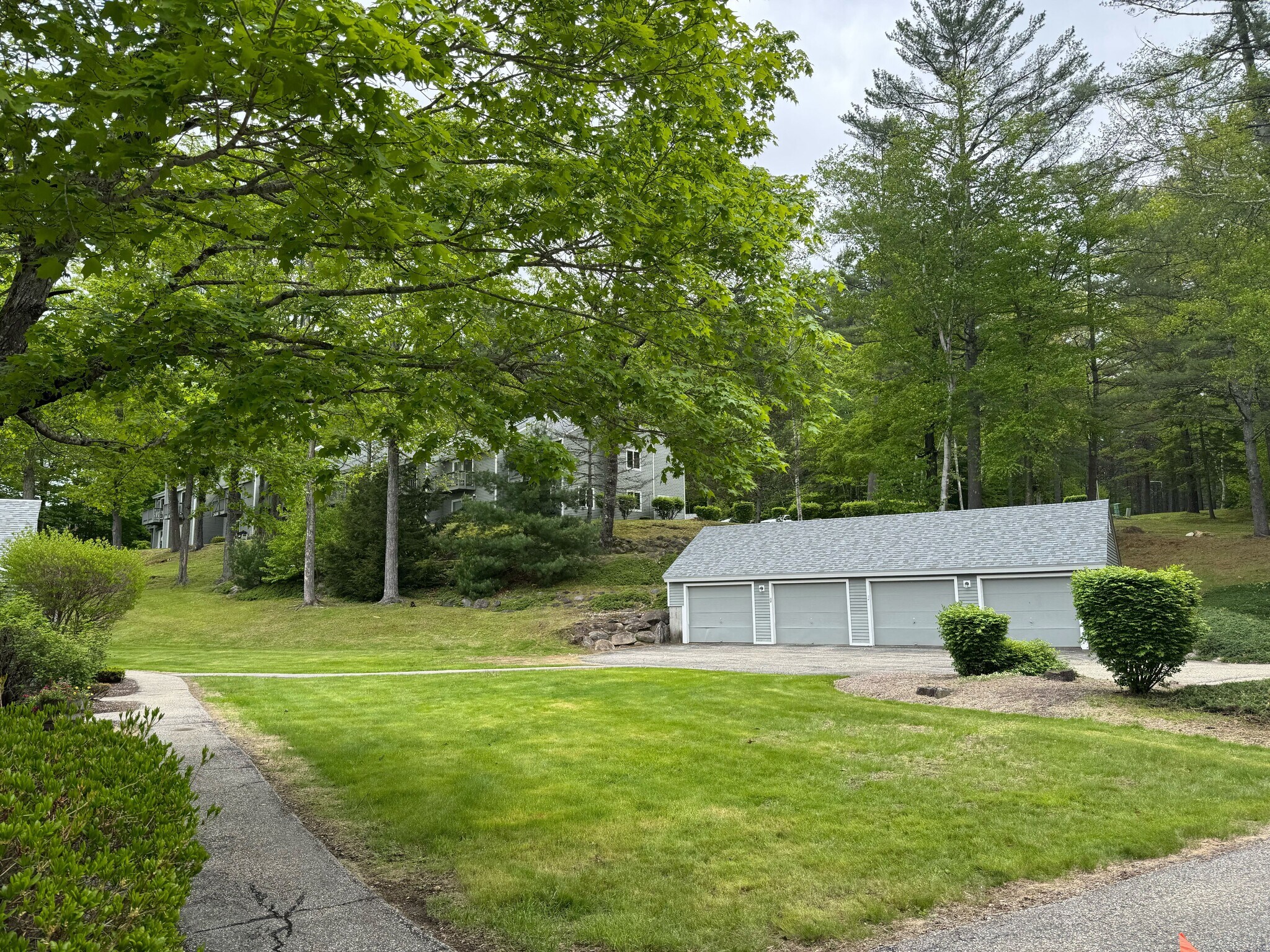 Building Photo - 56 Mountain River Ave