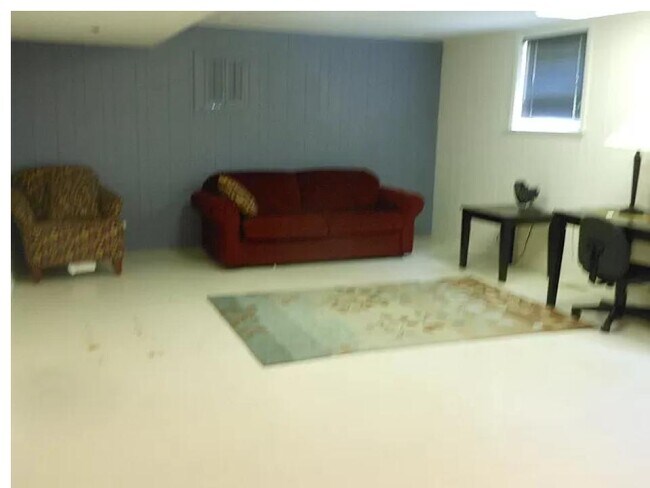 basement - 9112 Forestview Rd