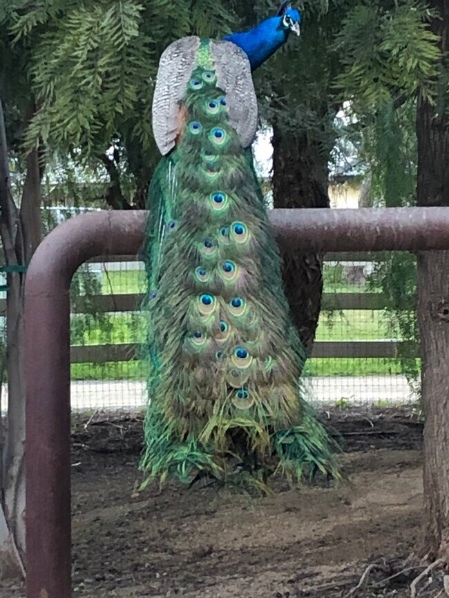 Building Photo - 34355 De Portola Rd