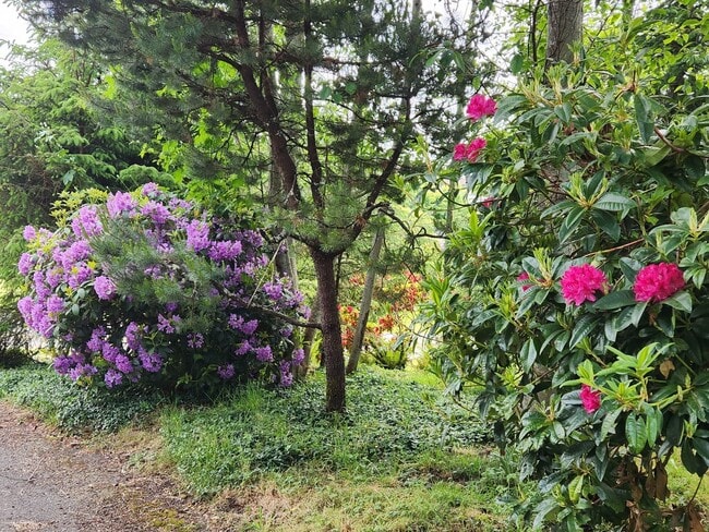 Building Photo - Beautiful 3 Bed / 2 Bath House With a Gorgeous View!