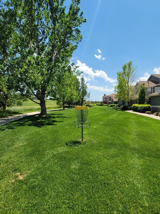 Frisbee Golf - 8489 Canyon Rim Cir