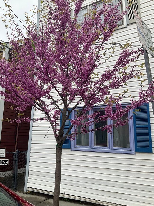 Building Photo - Newly renovated 1-Bd Cambridge - Great Deal