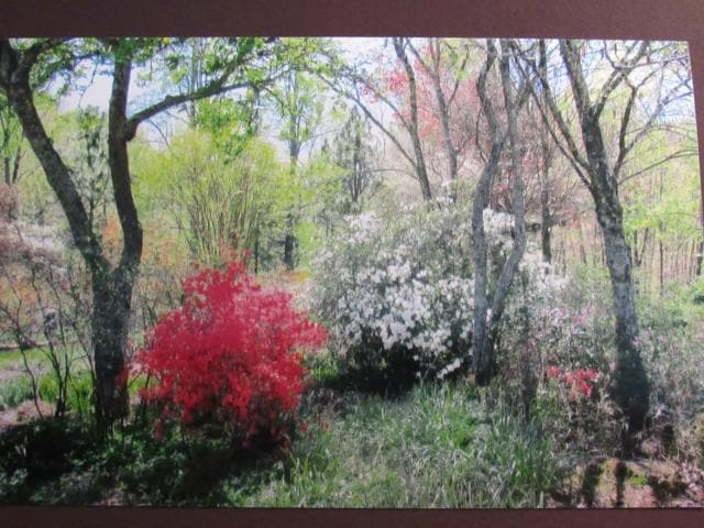 Building Photo - $1,600 - 2 Bed / 1.5 Bath House on Caney Fork with Stunning Landscaped Gardens