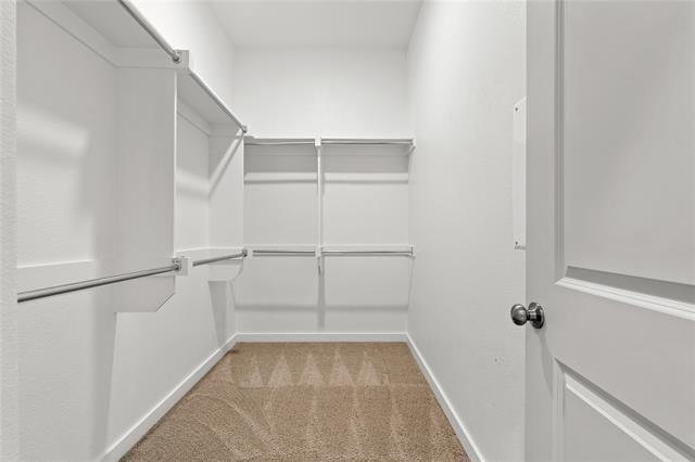 Building Photo - 2240 Lasso Ln