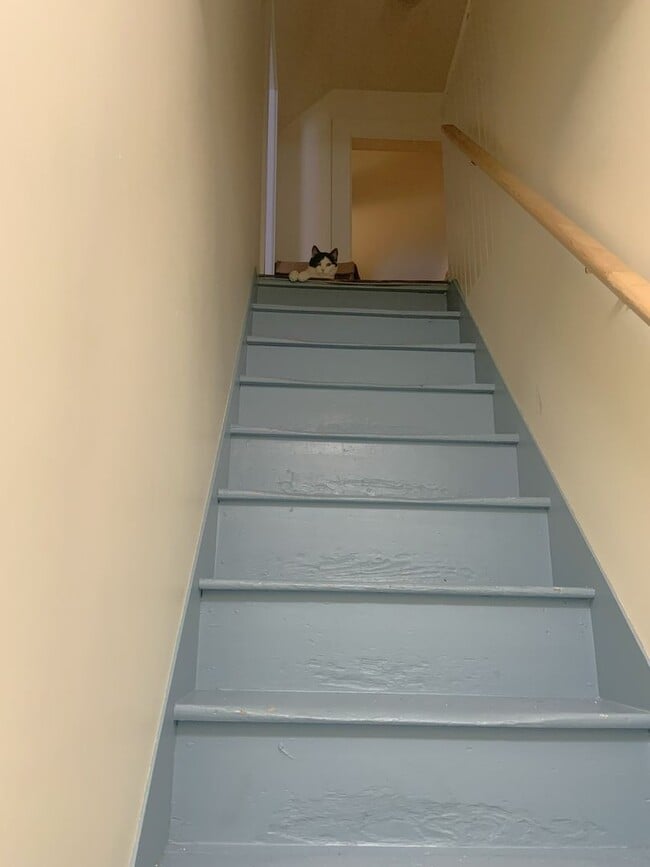 Building Photo - Gorgeous 19th Century Victorian showpiece