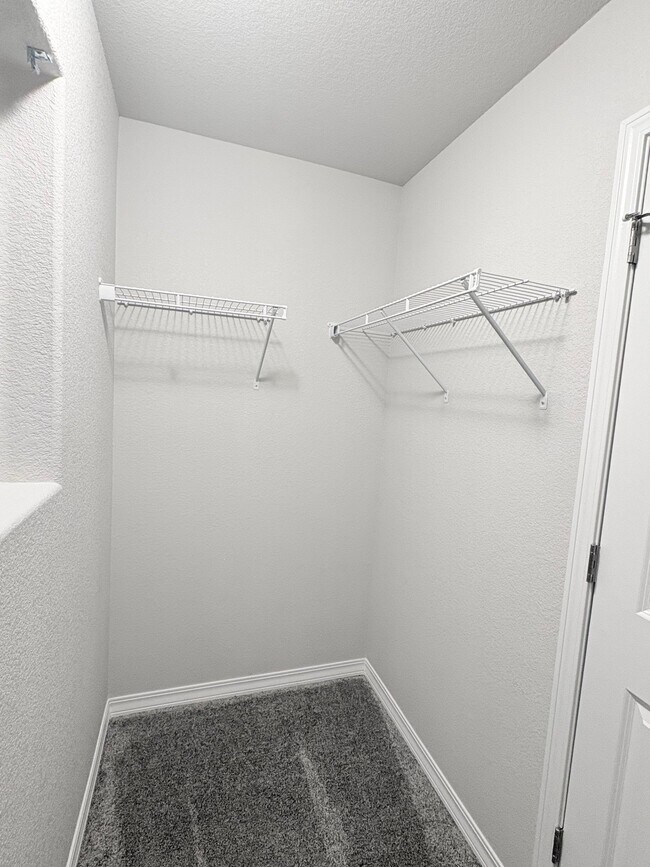 Building Photo - 4159 Samaritan Lp