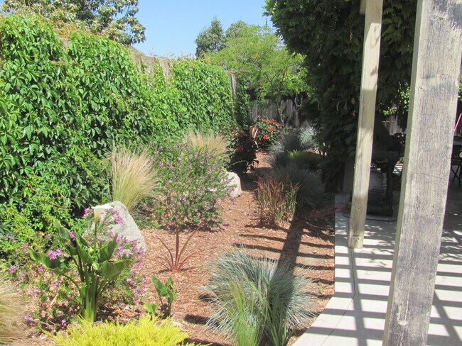 Building Photo - Single level Home in the Orcutt Neighborhood