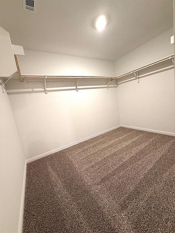 Building Photo - 1917 Buntline Hitch Dr