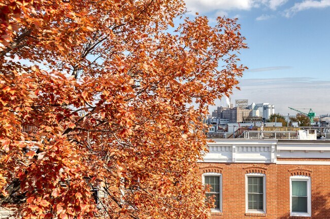 Building Photo - 447 Gittings St