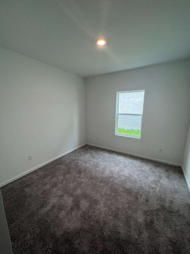 Building Photo - 35522 Shade Fern Ln