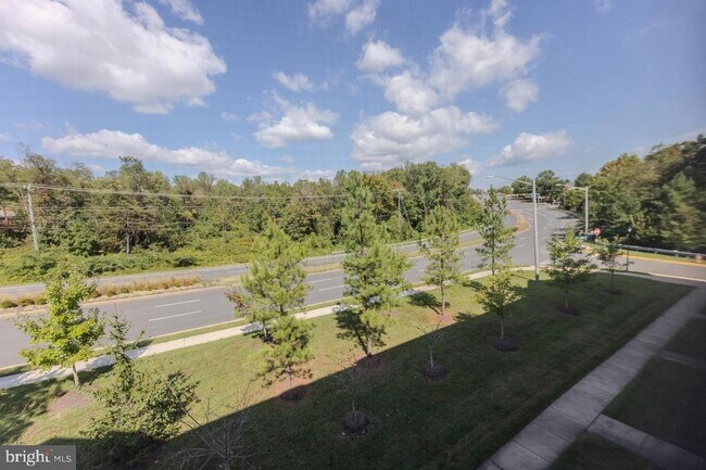 Building Photo - 14766 Malloy Ct