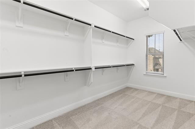 Building Photo - 4701 Piedras Lanzar Dr