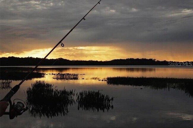 Building Photo - 7112 Forty Banks Rd