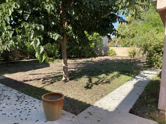 large back yard - 6243 Fallbrook Ave