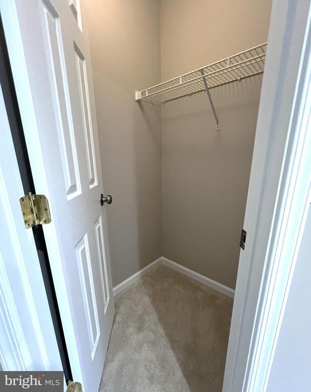 Building Photo - 2035 Madrillon Springs Ct