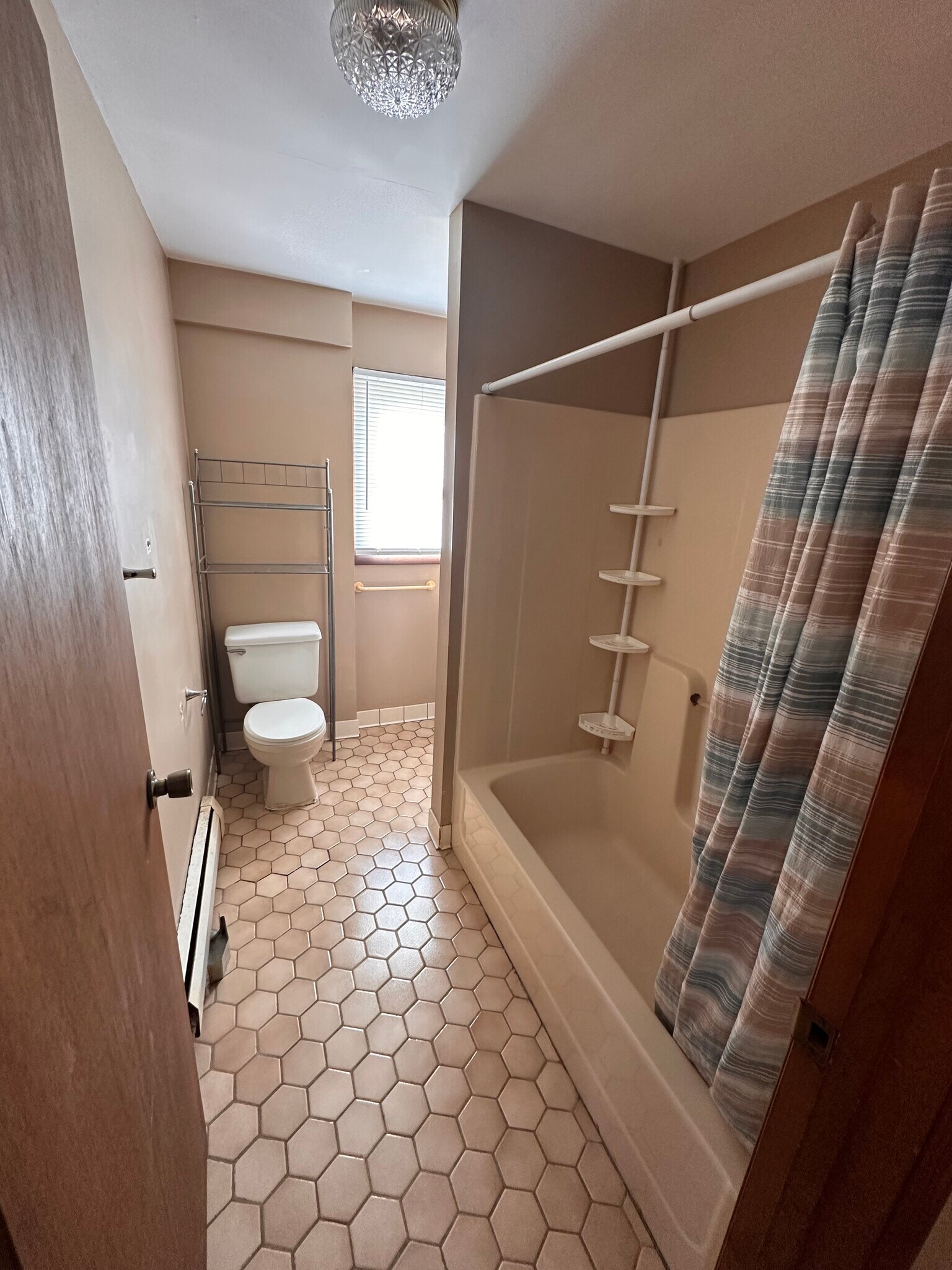 Building Photo - 117 Short St