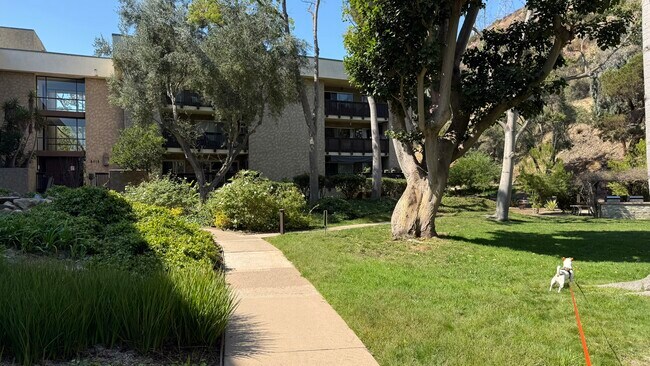 Building Photo - 6202 Friars Rd
