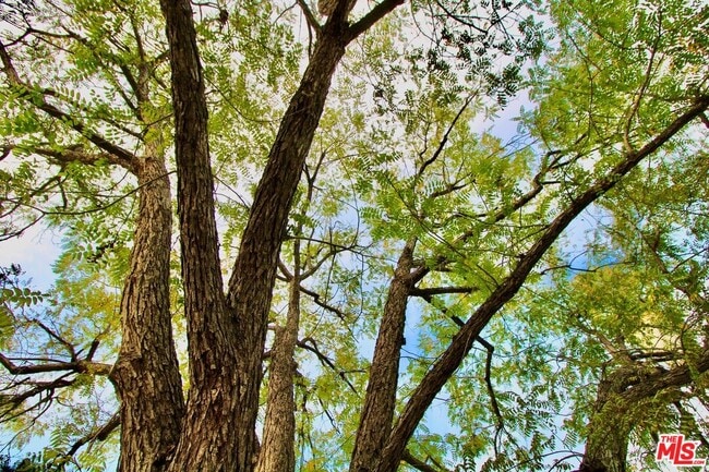 Building Photo - 8421 Darby Ave