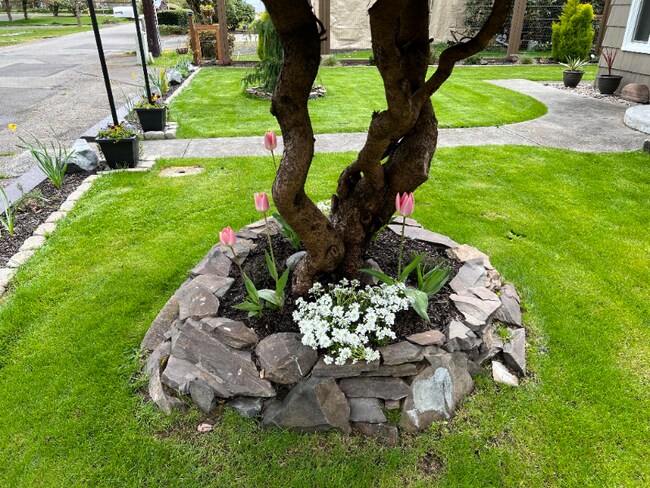 Building Photo - 1511 Wilson St SE