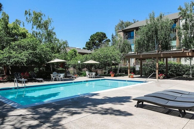 Building Photo - Beautiful and very Spacious 1BR 1BA Condo in Mountain View