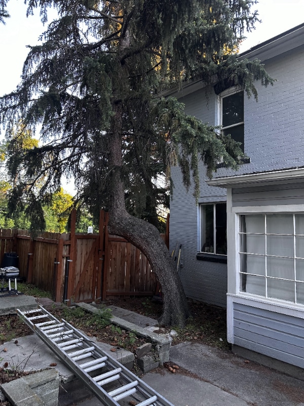 Building Photo - 79 S 1200 E