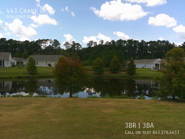 Building Photo - 443 Crane Ct