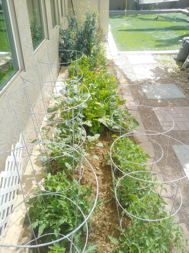 garden area - 9013 E Palmer Dr