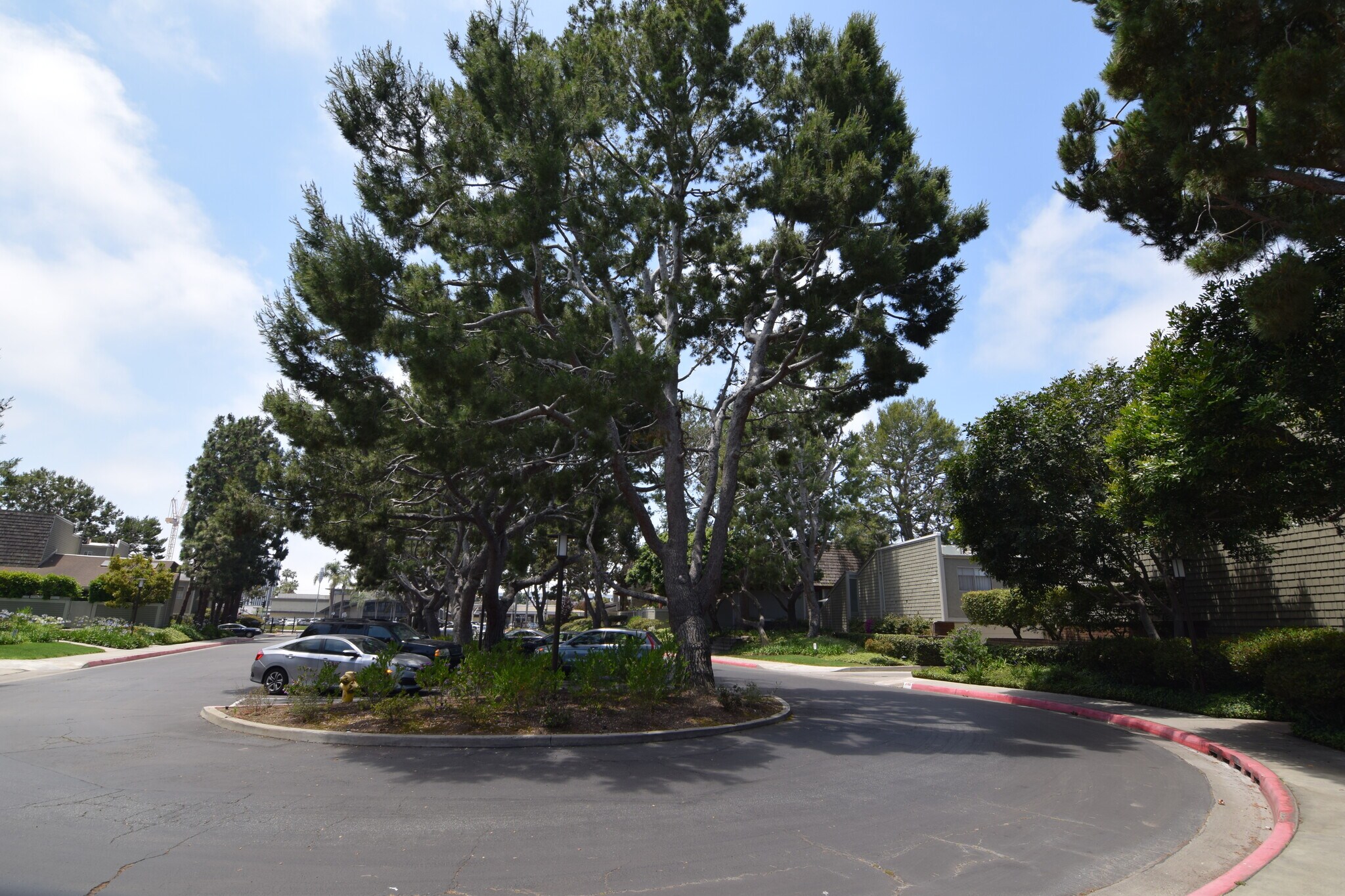 Building Photo - 13340 Maxella Ave