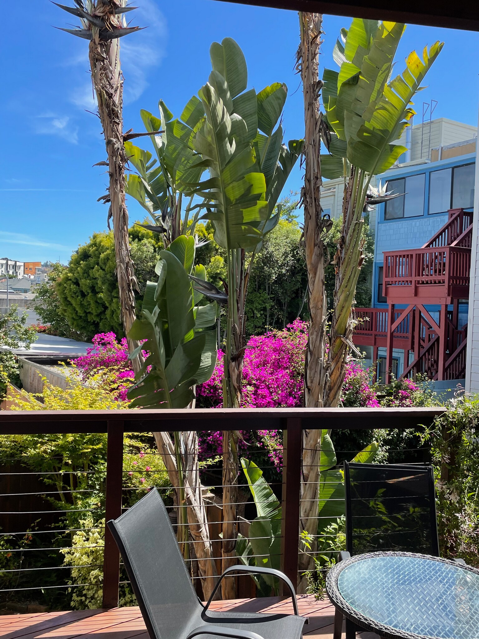 Building Photo - 421 Duboce Ave