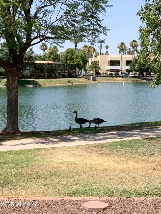 Building Photo - 2644 W Desert Cove Ave