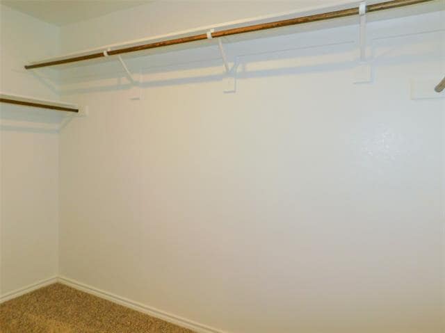 Building Photo - 11217 Pecan Crk Dr