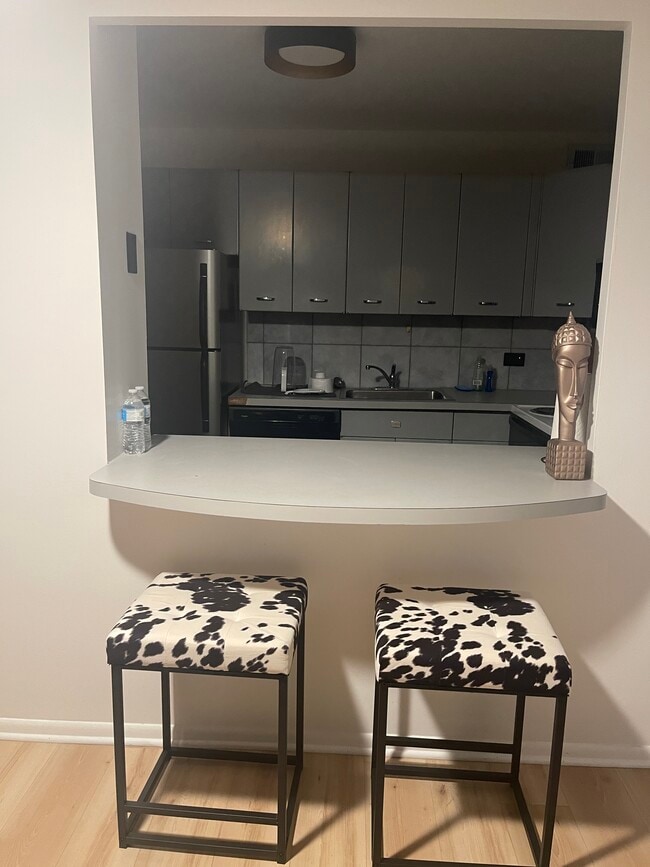 Building Photo - 4800 S Chicago Beach Dr