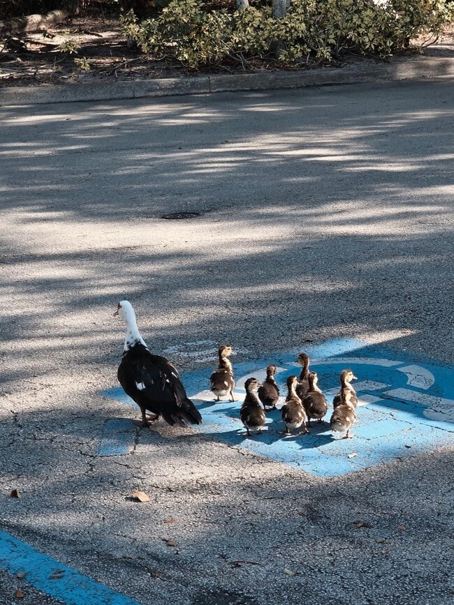 Building Photo - 4863 Via Palm Lakes