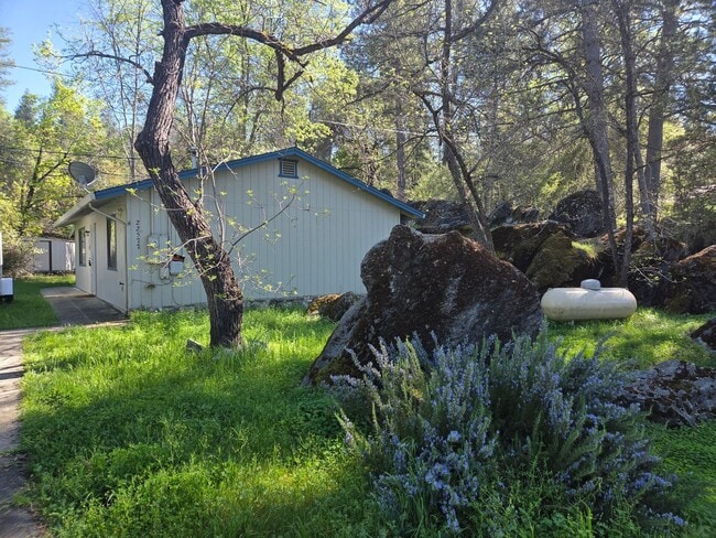 Building Photo - Historic Columbia Home Available for Flexible Lease Terms