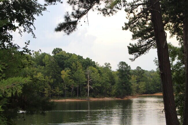 Building Photo - 1725 Cuscowilla Ln