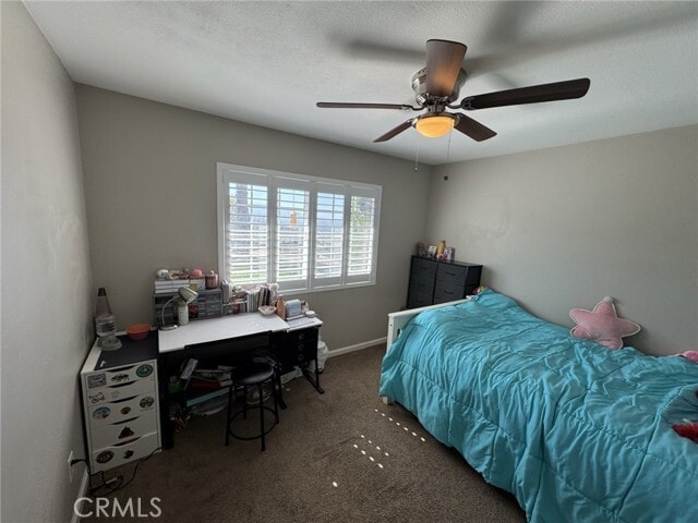 Building Photo - 4061 Mt Rushmore Dr