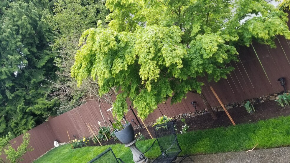 Building Photo - 1033 Chelan Ave NE