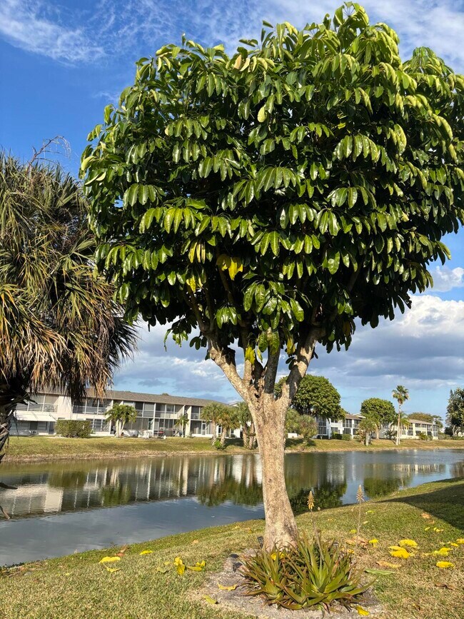 Building Photo - 115 Camden E