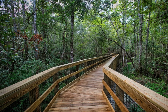 Building Photo - Brand-New Home in The Landing at St. Augustine