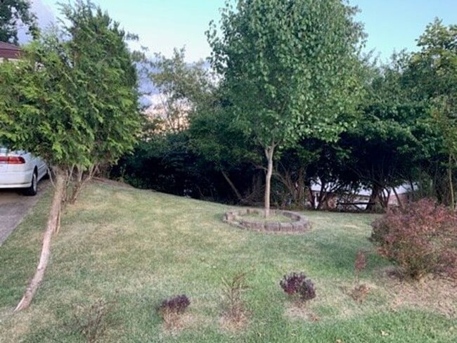Building Photo - Old English Tudor Style Home in South Charleston